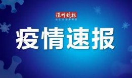 爆料新闻素材视频大全最新,视频素材大全深度解析